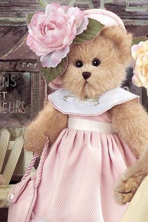 Bearington - Alexa