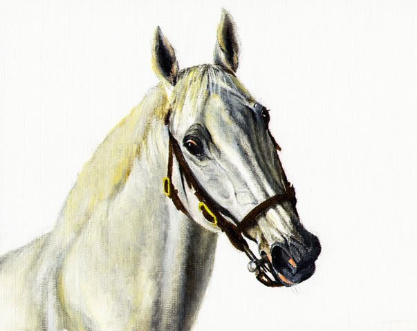 â
Original Oil Portrait Painting GRAY STALLION Horse â