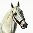 ★ Original Oil Portrait Painting GRAY STALLION Horse ★