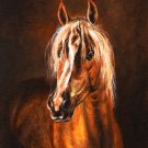 ★ Original Oil Portrait Painting AVELIGNESE Horse Art ★