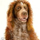 Original Oil DOG Portrait Painting PONT-AUDEMER SPANIEL