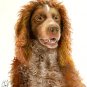 Original Oil DOG Portrait Painting PONT-AUDEMER SPANIEL