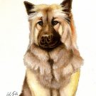 ★ Original Oil DOG Portrait Painting Artwork EURASIER ★