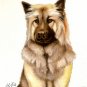 â
Original Oil DOG Portrait Painting Artwork EURASIER â