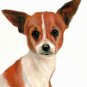 ♥ Original Oil DOG Portrait Painting Art CHIHUAHUA ♥