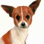 ⥠Original Oil DOG Portrait Painting Art CHIHUAHUA â¥