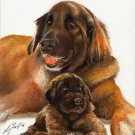 * Original Oil DOG Portrait Painting LEONBERGER w PUPPY