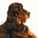 ★ Original Oil DOG Art Portrait Painting GORDON SETTER