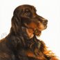 ★ Original Oil DOG Art Portrait Painting GORDON SETTER