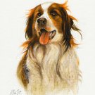 ★ Original DOG Art Oil Portrait Painting KOOIKERHONDJE