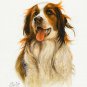 ★ Original DOG Art Oil Portrait Painting KOOIKERHONDJE