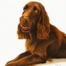 ☆ Original DOG Oil Portrait Painting FIELD SPANIEL Art