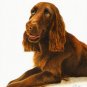 ☆ Original DOG Oil Portrait Painting FIELD SPANIEL Art