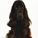★ Original Oil Portrait Painting ENGLISH COCKER SPANIEL