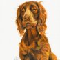 ★ Original DOG Oil Portrait Painting SUSSEX SPANIEL Art