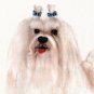 ♥ Original Oil DOG Portrait Painting Art MALTESE w Bows