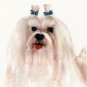 ♥ Original Oil DOG Portrait Painting Art MALTESE w Bows