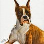 &acirc;�� Original Oil DOG Portrait Painting Art BOXER Artwork