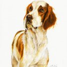 ★ Original DOG Oil Portrait Art Painting IRISH SETTER ★