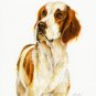 ★ Original DOG Oil Portrait Art Painting IRISH SETTER ★
