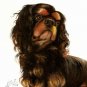 Original Oil DOG Portrait Painting KING CHARLES SPANIEL