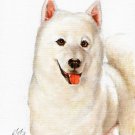 ★ Original Oil DOG Portrait Painting SAMOYED Artwork ★