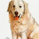 ★ Original Oil Dog Portrait Painting Art KUVASZ Artwork