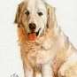 ★ Original Oil Dog Portrait Painting Art KUVASZ Artwork