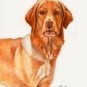 ★ Original Oil DOG Portrait Painting Art HOVAWART ★