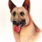 ★Original Oil DOG Art Portrait Painting GERMAN SHEPHERD