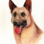 &acirc;��Original Oil DOG Art Portrait Painting GERMAN SHEPHERD
