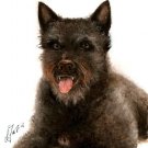 ★ Original Oil Portrait Painting DUTCH SHEPHERD DOG Art