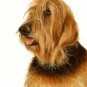 ★ Original Oil DOG Portrait Painting Artwork OTTERHOUND