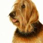 ★ Original Oil DOG Portrait Painting Artwork OTTERHOUND