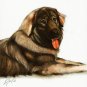 ★ Original Oil DOG Portrait Painting Art SARPLANINAC ★