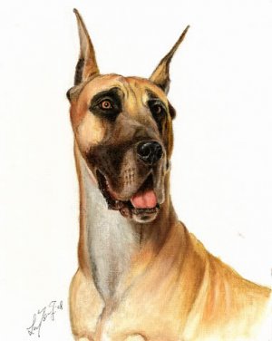 &acirc;�&yen; Original Oil Art DOG Portrait Painting GREAT DANE &acirc;�&yen;