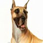 ⥠Original Oil Art DOG Portrait Painting GREAT DANE â¥