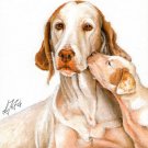 ★ ORIGINAL Oil DOG Portrait Painting ENGLISH POINTER ★