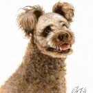 ♥ Original Oil Art DOG Portrait Painting Artwork PUMI ♥