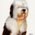 ★ Original Oil Portrait Painting OLD ENGLISH SHEEPDOG ★