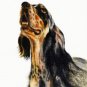 ★ Original Oil DOG Art Portrait Painting ENGLISH SETTER