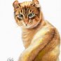 ★ Original Oil Portrait Painting Art AMERICAN CURL CAT