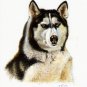 ★ Original DOG Oil Portrait Painting ALASKAN MALAMUTE ★
