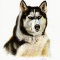 ★ Original DOG Oil Portrait Painting ALASKAN MALAMUTE ★