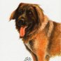 ★ Original Oil DOG Portrait Painting Art LEONBERGER ★