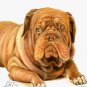 &acirc;�� Original Oil DOG Portrait Painting BORDEAUX MASTIFF &acirc;��