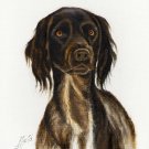 ☆ Original DOG Oil Portrait Painting MUNSTERLANDER Art