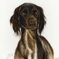 &acirc;�� Original DOG Oil Portrait Painting MUNSTERLANDER Art