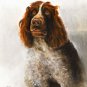 ★ Original Oil DOG Portrait Painting GERMAN SPANIEL Art