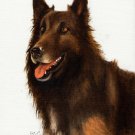 ★ Original Oil DOG Portrait Painting BELGIAN SHEPHERD ★